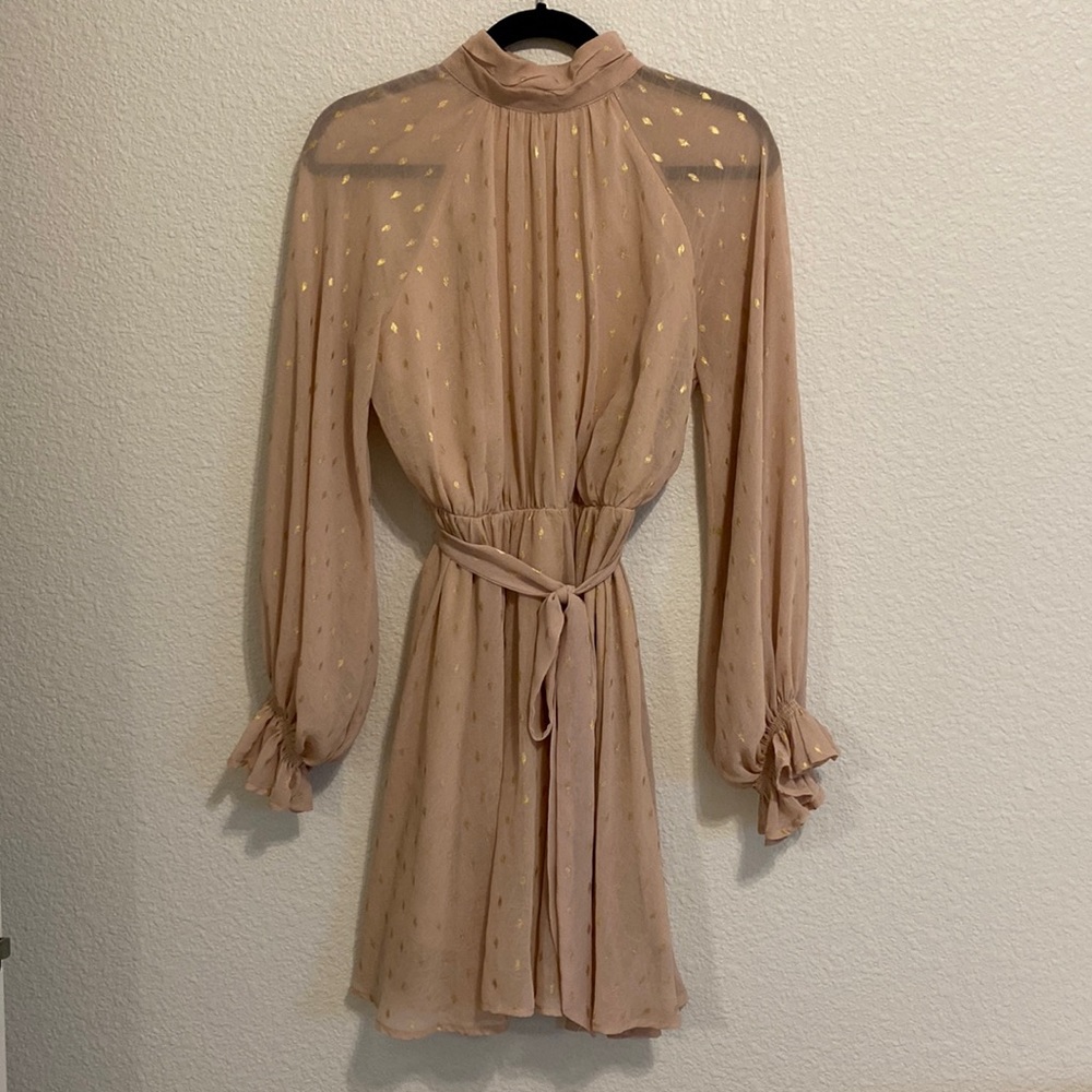 Blush & Gold Long sleeve Dress
